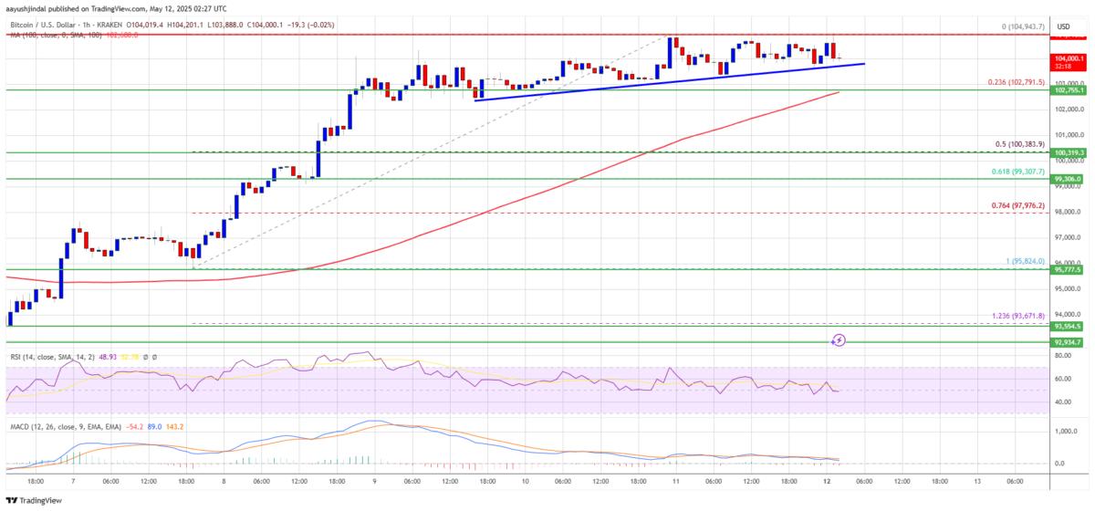 Bitcoin chart showing price levels above $100,000 in current market
