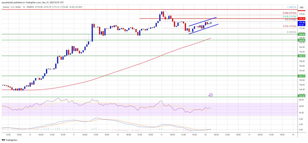SOL token price trend chart showing current and projected developments for Solana price