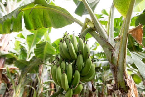 Climate Change 2025: The Impact on Agriculture and the Future of Our Food